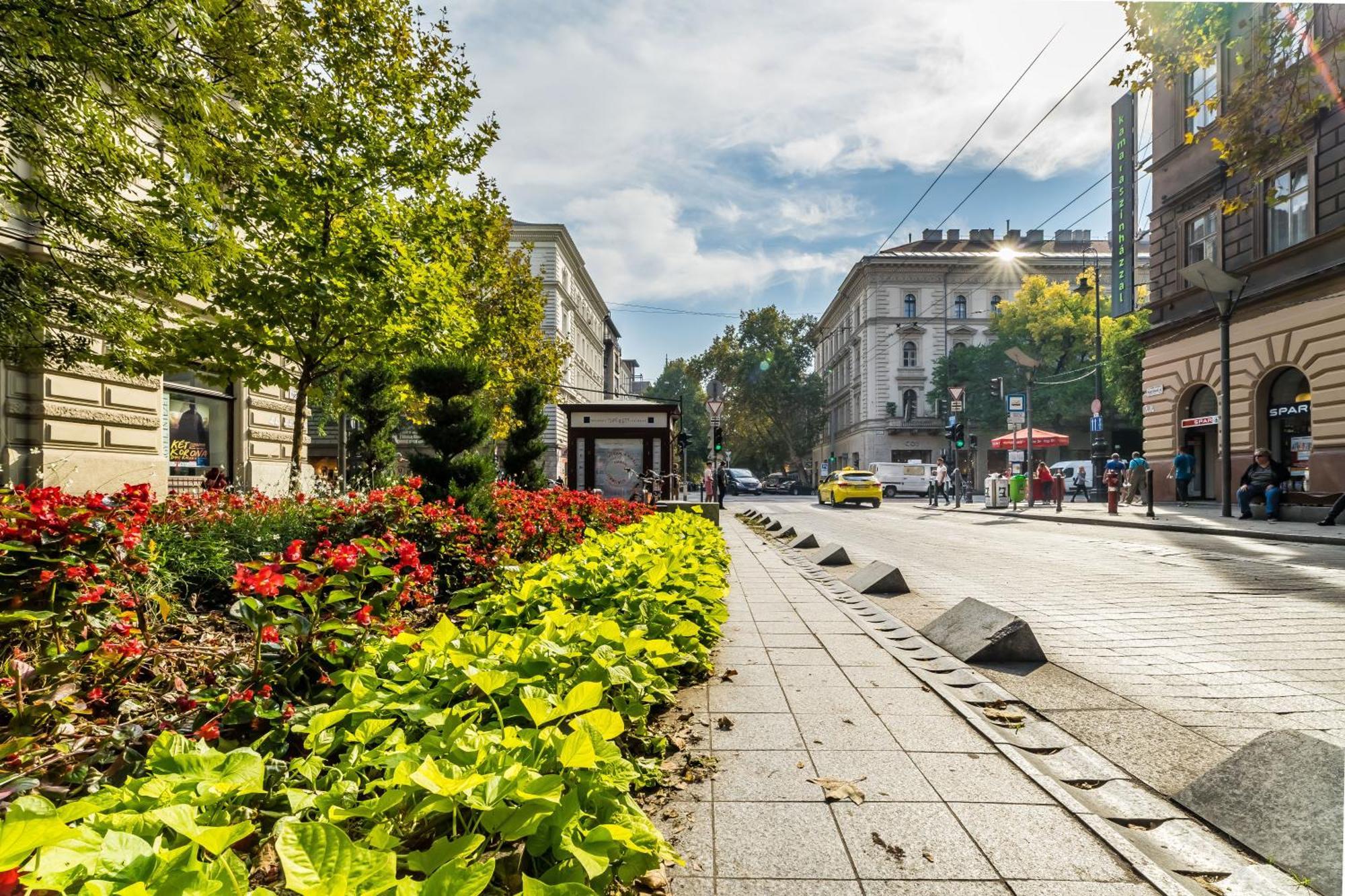 Cozy Little Flat In The City Center بودابست المظهر الخارجي الصورة